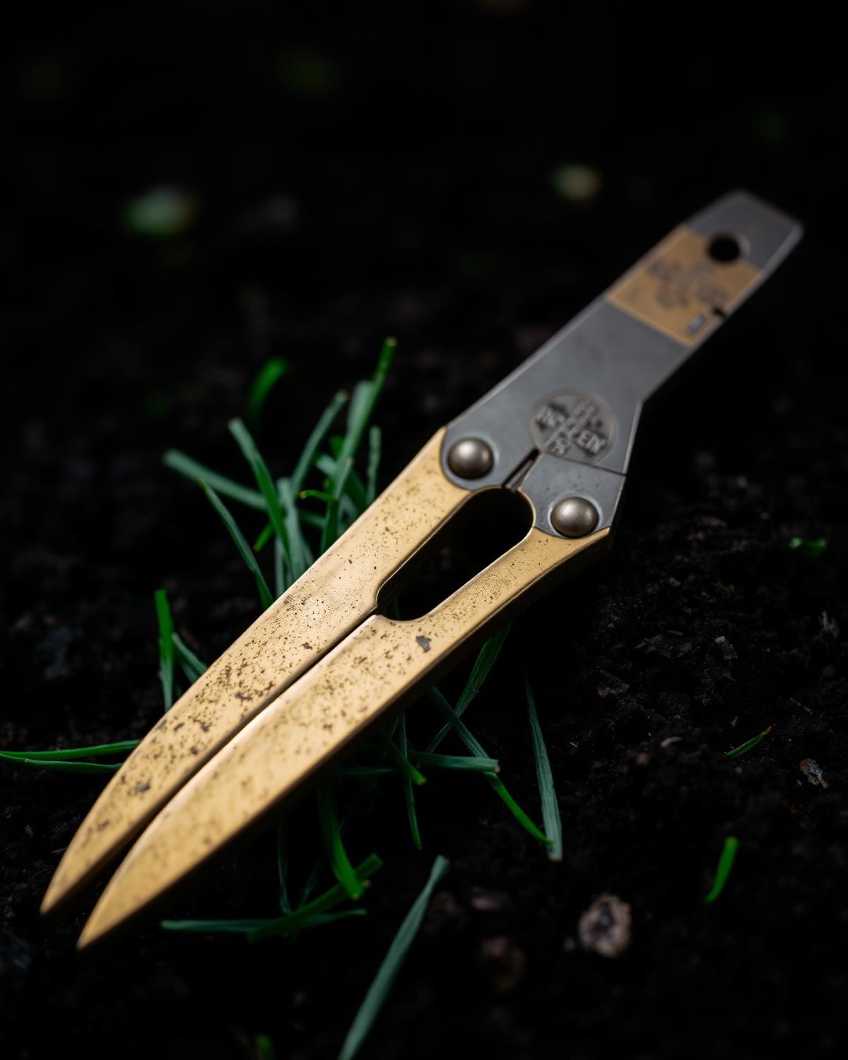 Brass garden shears resting on dark soil